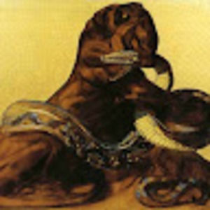 Meet your Posher, Koroneis